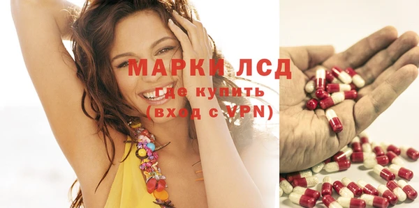 ГАЛЛЮЦИНОГЕННЫЕ ГРИБЫ Белокуриха