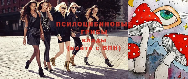 ГАЛЛЮЦИНОГЕННЫЕ ГРИБЫ Белокуриха