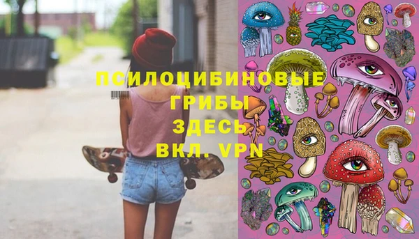 ГАЛЛЮЦИНОГЕННЫЕ ГРИБЫ Белокуриха
