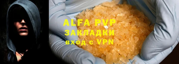 ГАЛЛЮЦИНОГЕННЫЕ ГРИБЫ Белокуриха