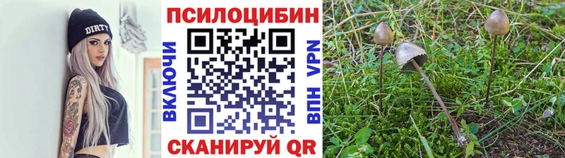 сайты даркнета состав  Горнозаводск  Галлюциногенные грибы Psilocybe  цена наркотик 